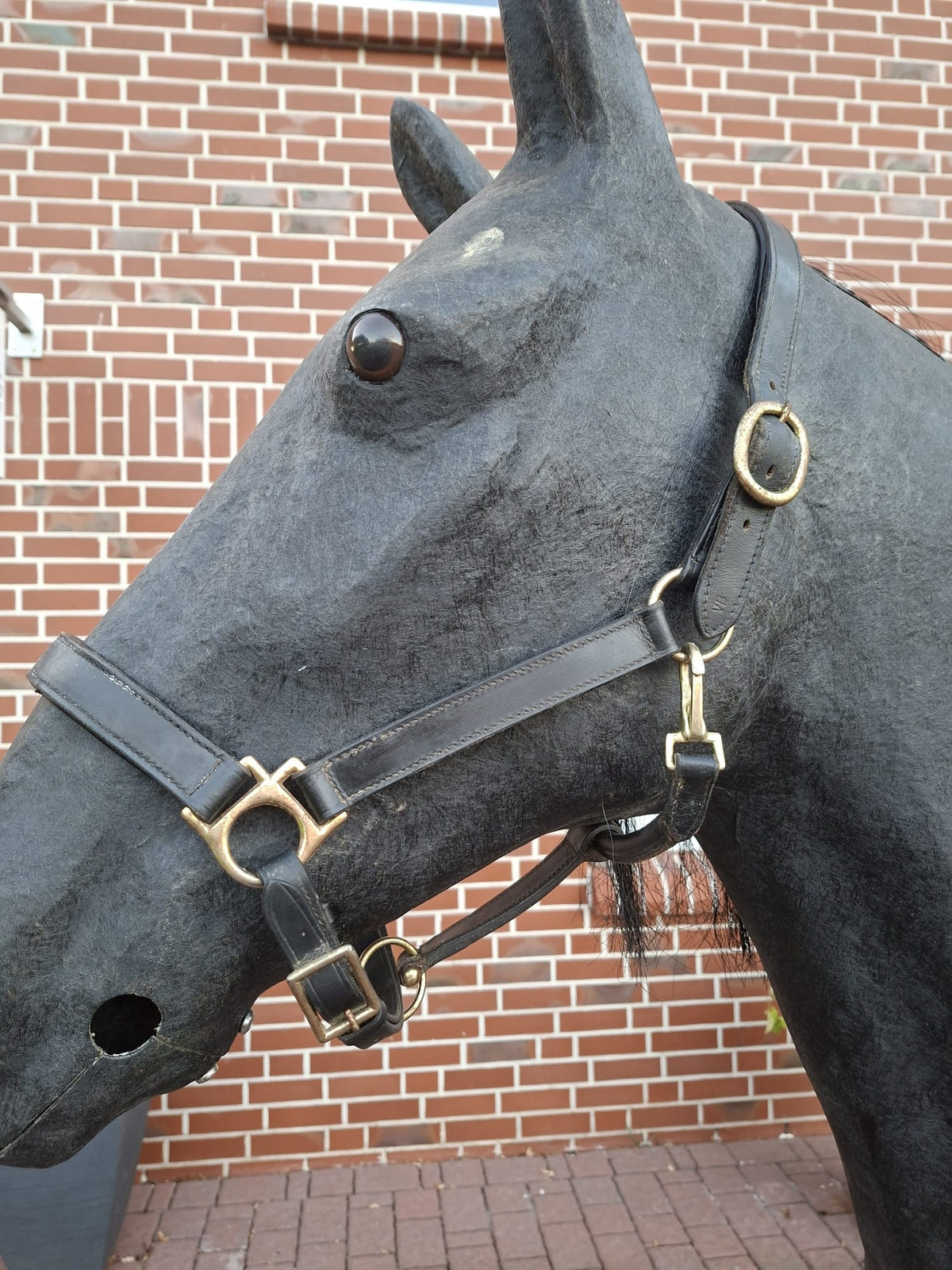 Unbekannt Lederhalfter