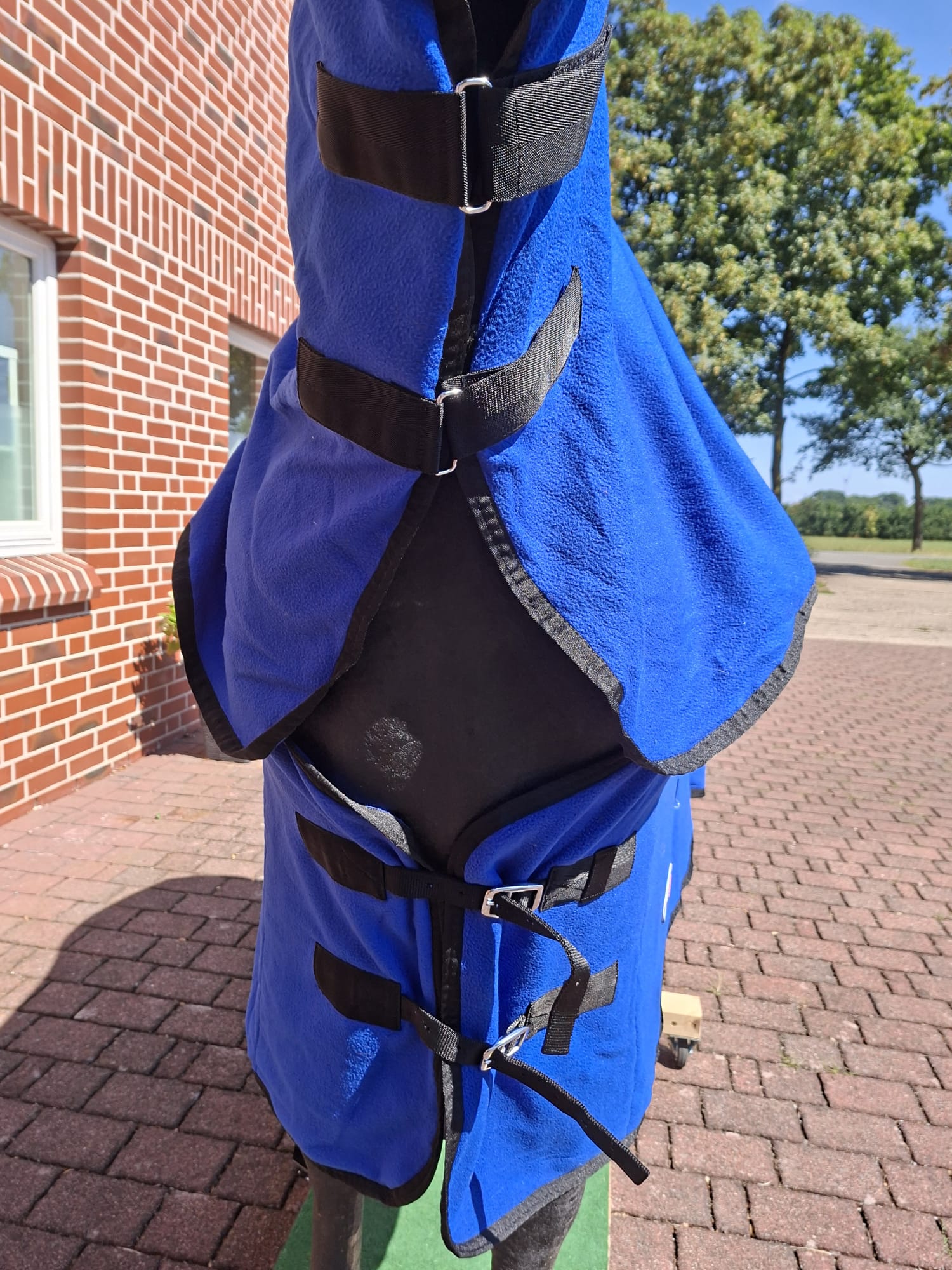 RL 24 Abschwitzdecke