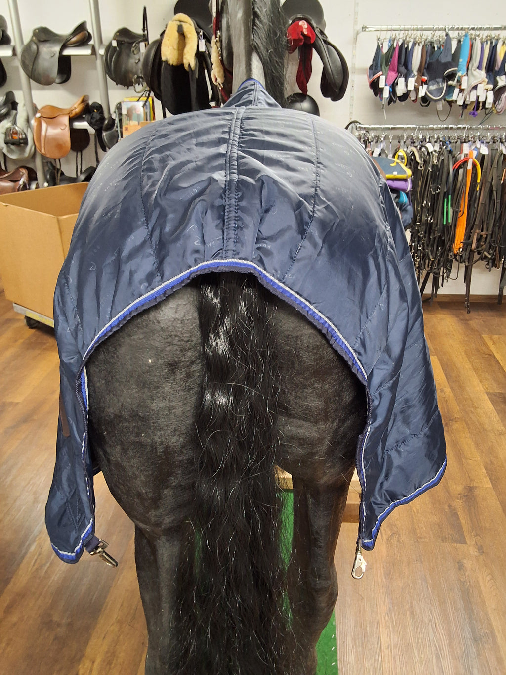 Equi-Theme Liner/Unterziedecke