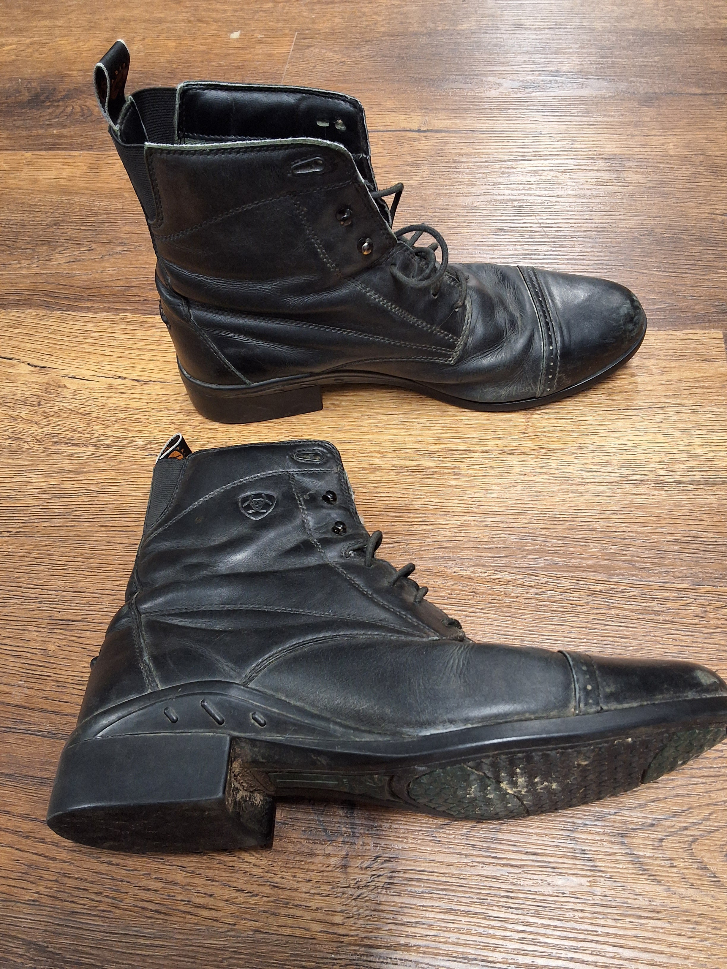 Ariat Stiefeletten