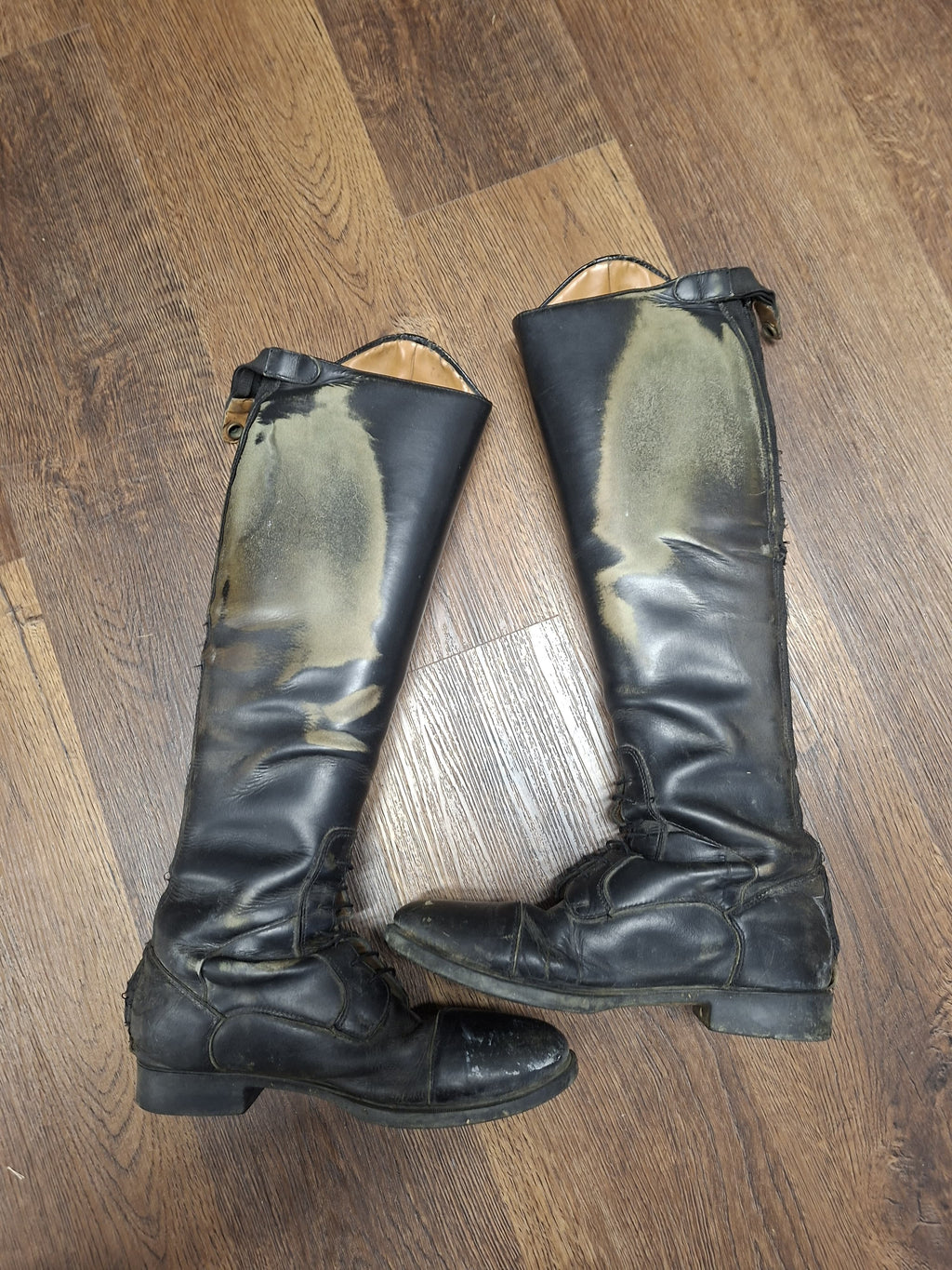 Mondoni Reitstiefel
