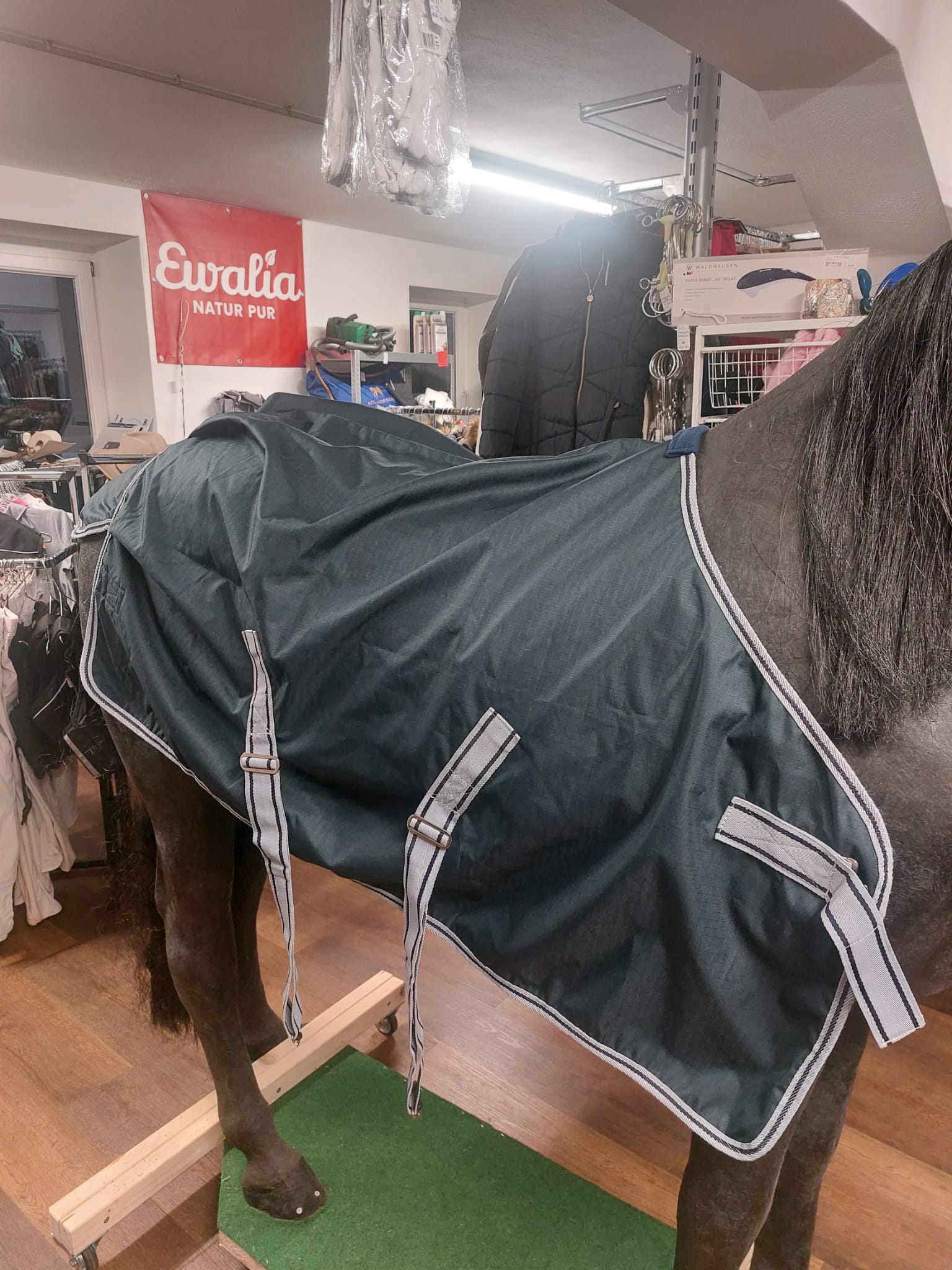 Goldhorse Regendecke