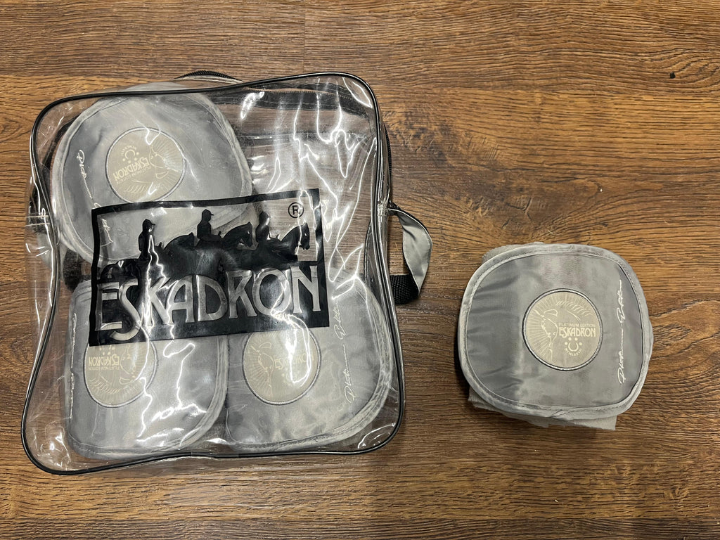 Eskadron Bandagen