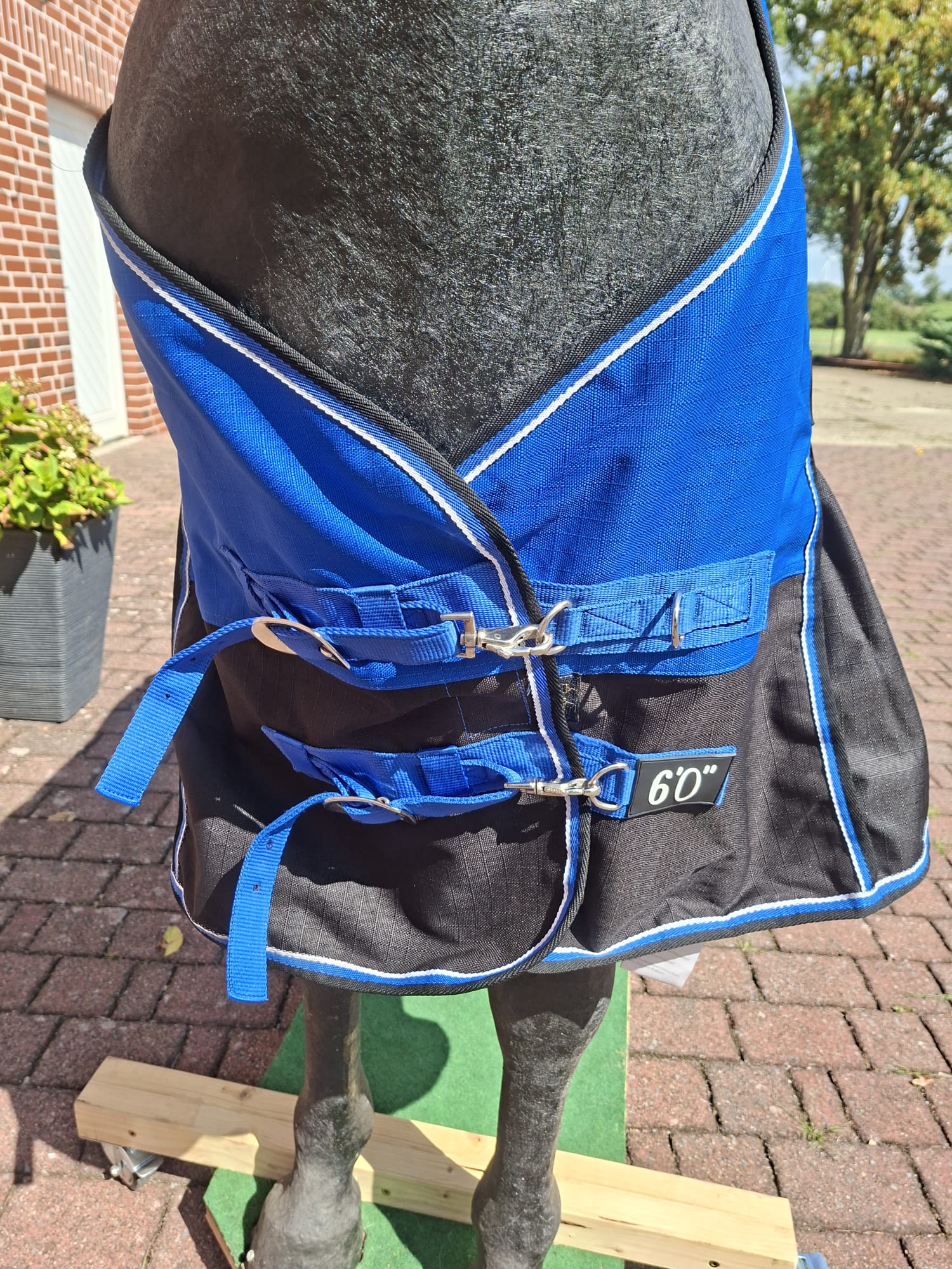Equitheme Regendecke
