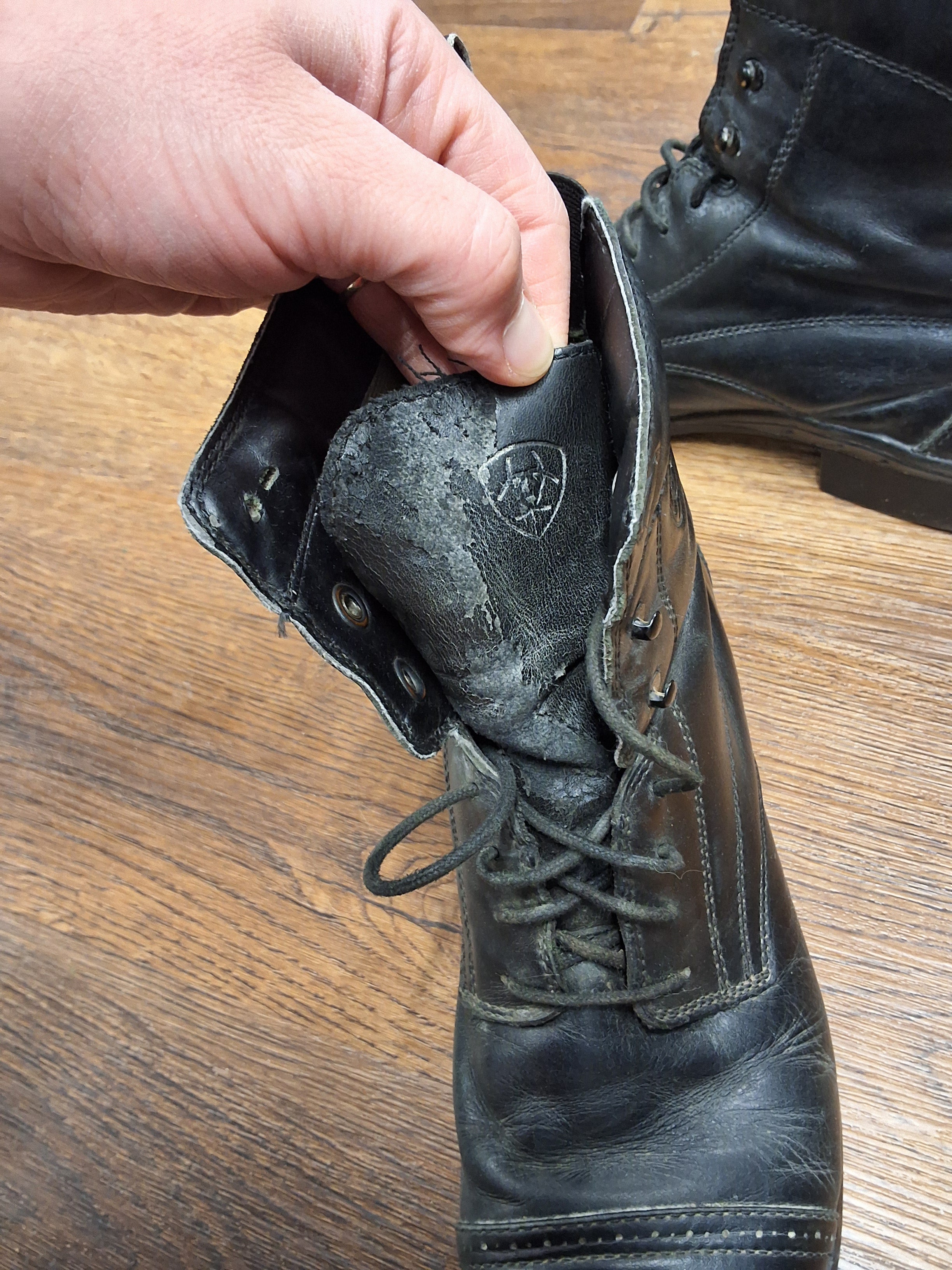Ariat Stiefeletten