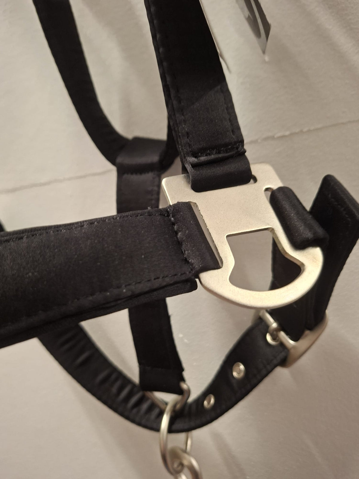 Equiva Halfter + Strick