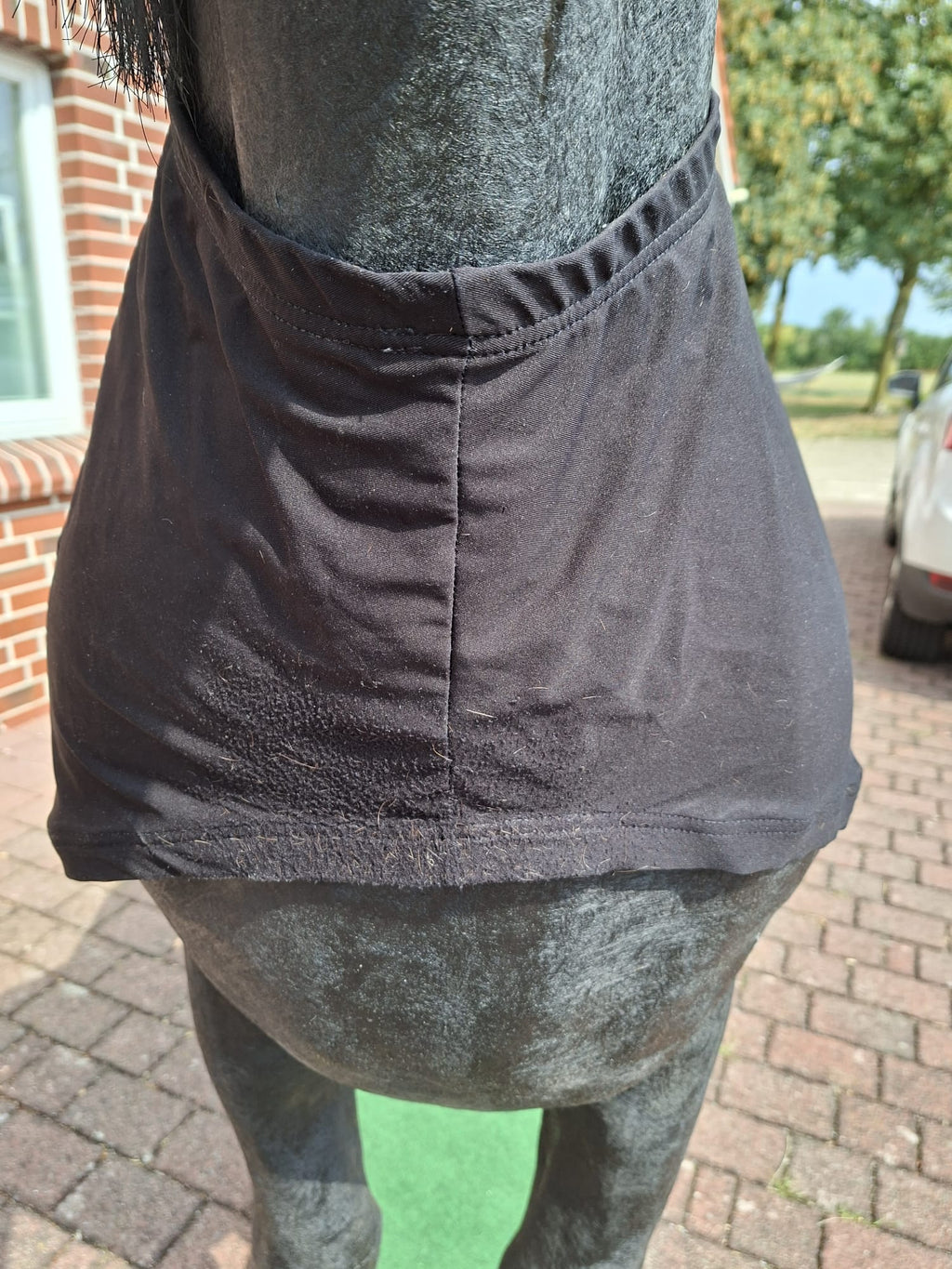 Unbekannt Brustschutz