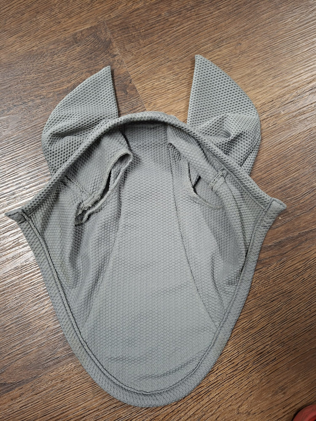 Eskadron Fliegenhaube