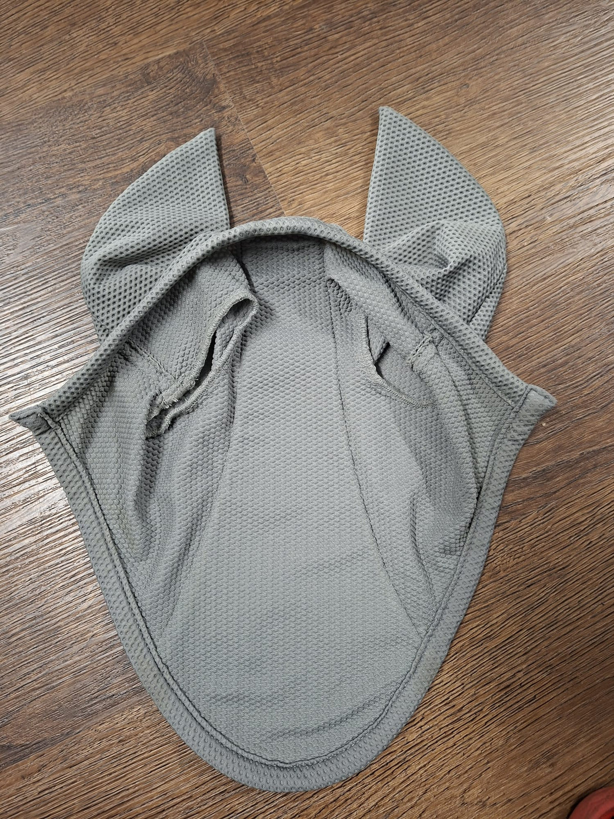 Eskadron Fliegenhaube