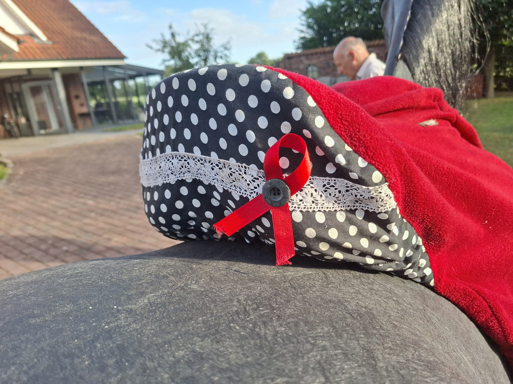 Passier Dressursattel