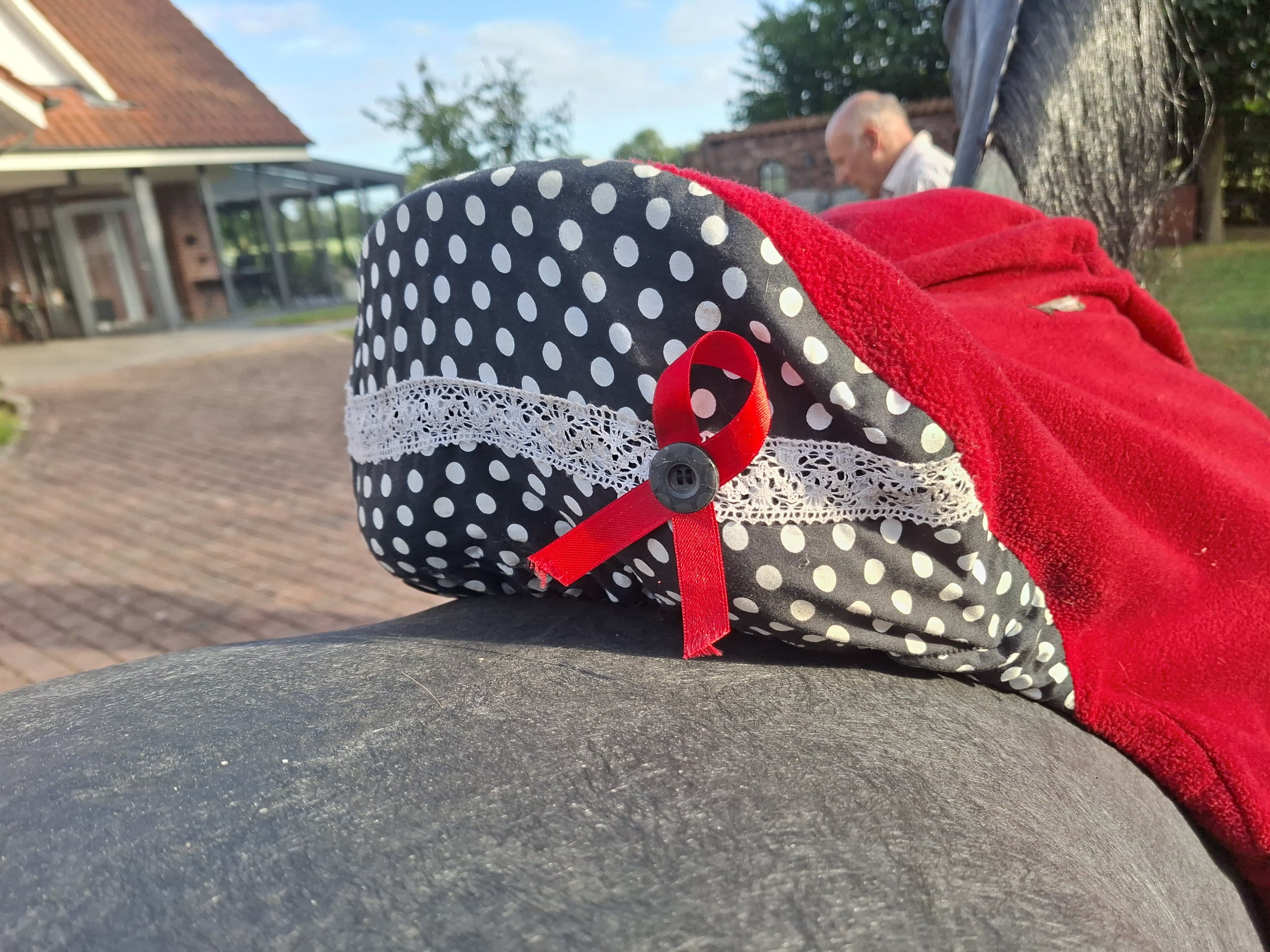 Passier Dressursattel