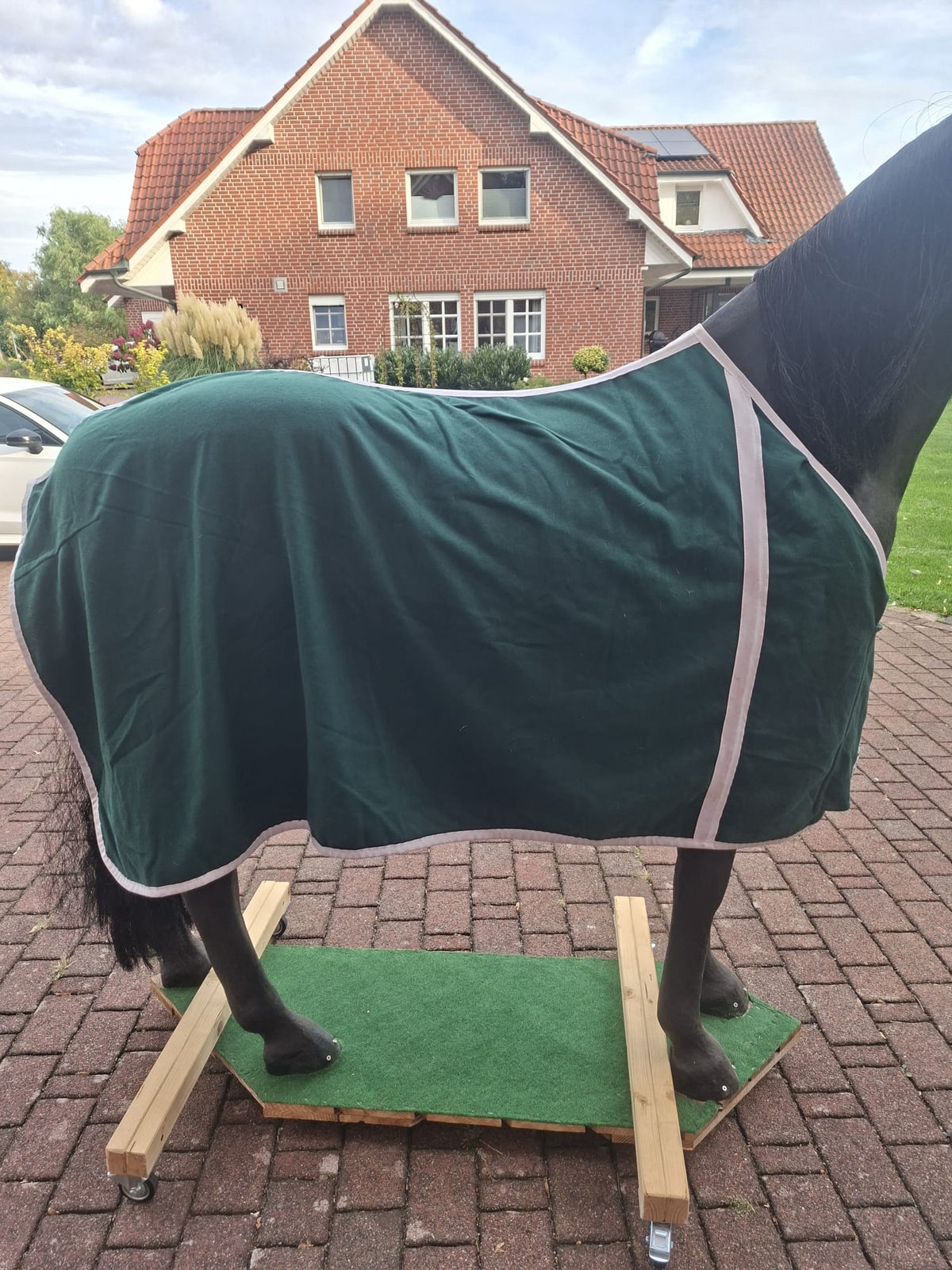 Pfiff Abschwitzdecke