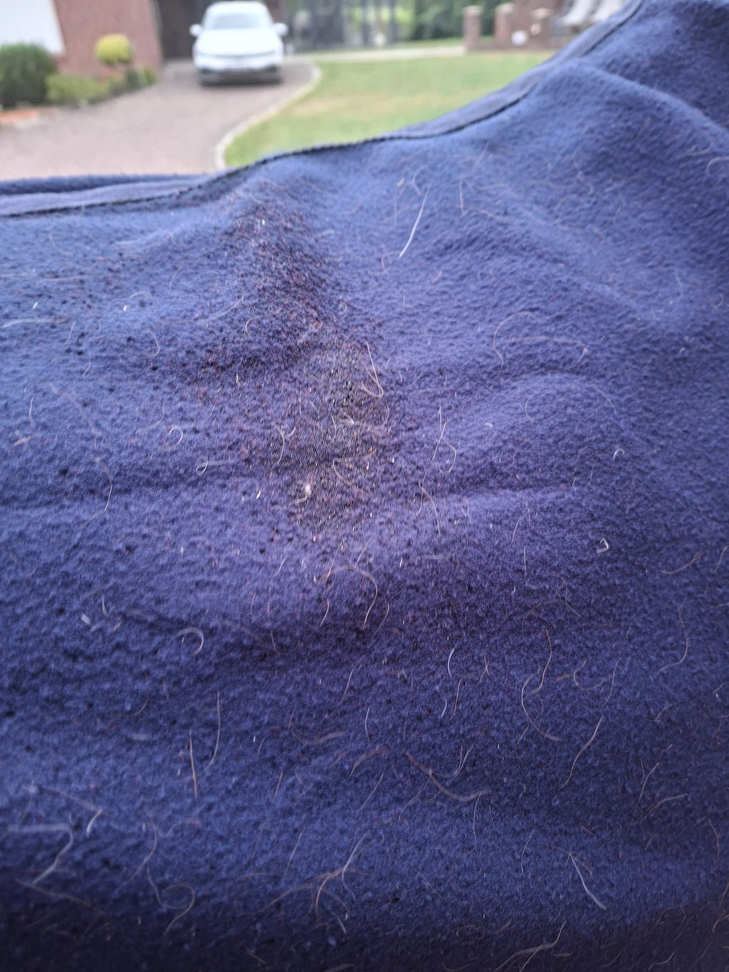 Unbekannt Abschwitzdecke
