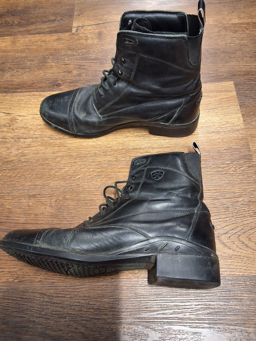 Ariat Stiefeletten