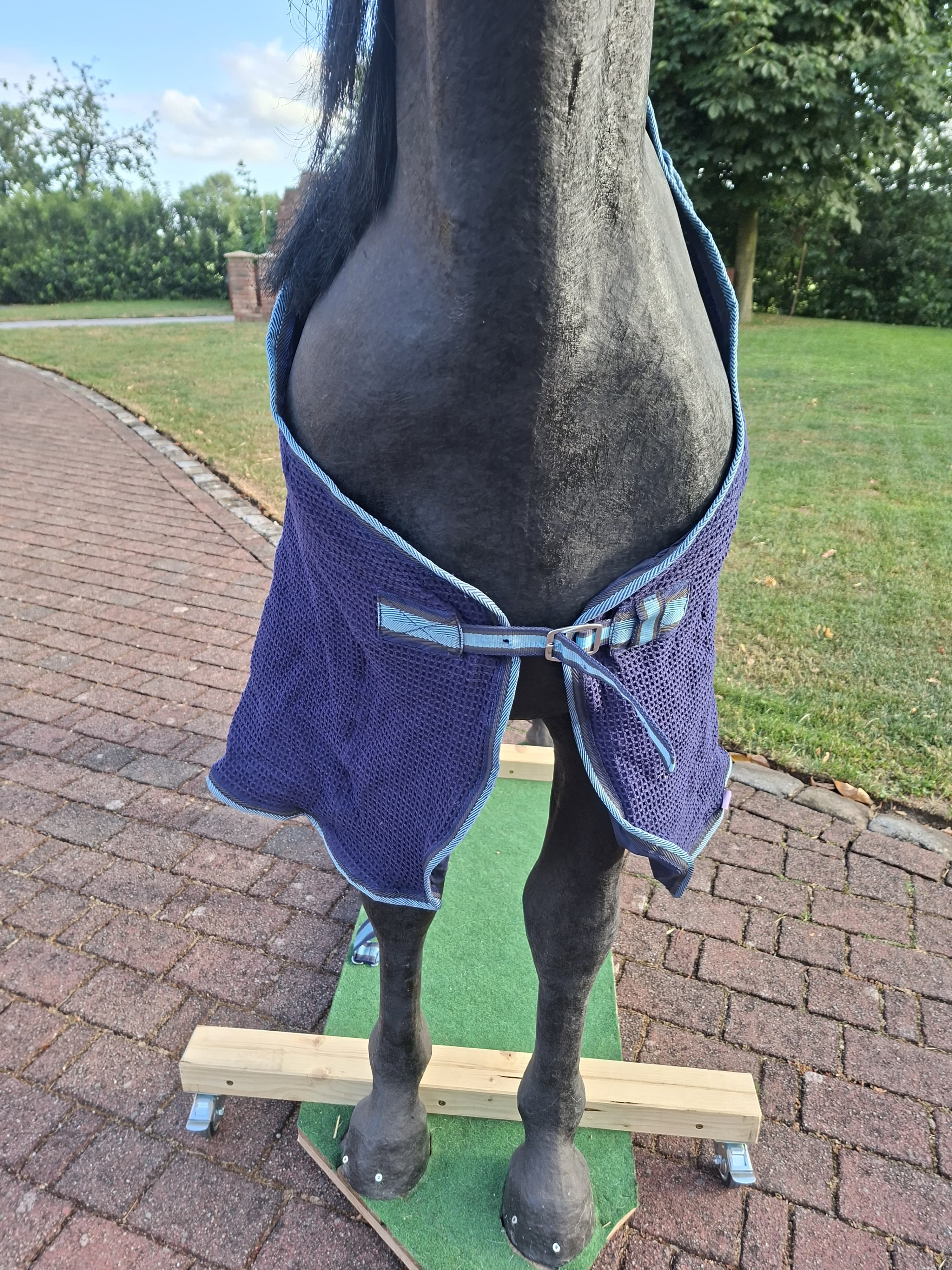 Horse friends dicke Fliegendecke