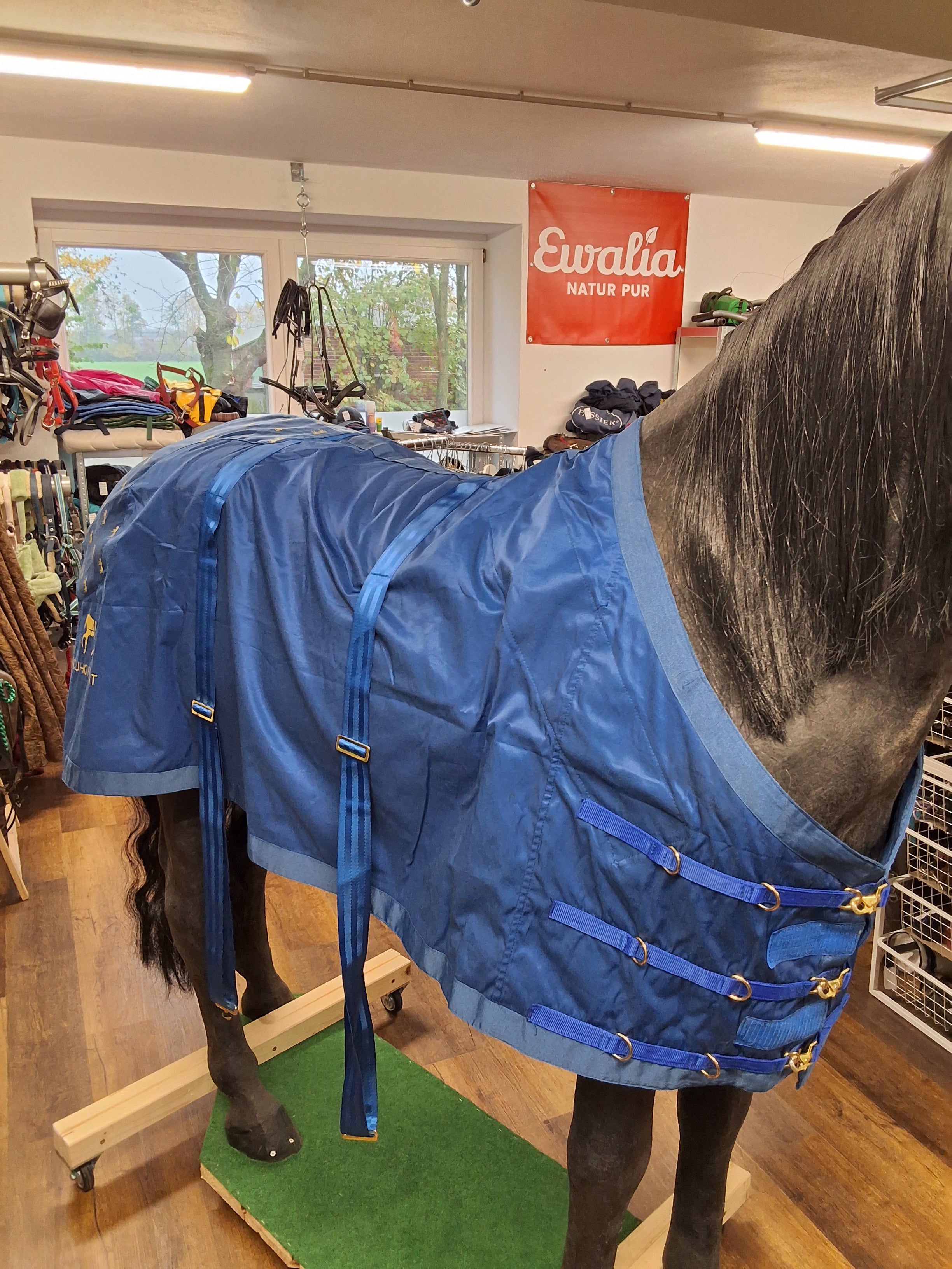 Accuhorsemat Decke