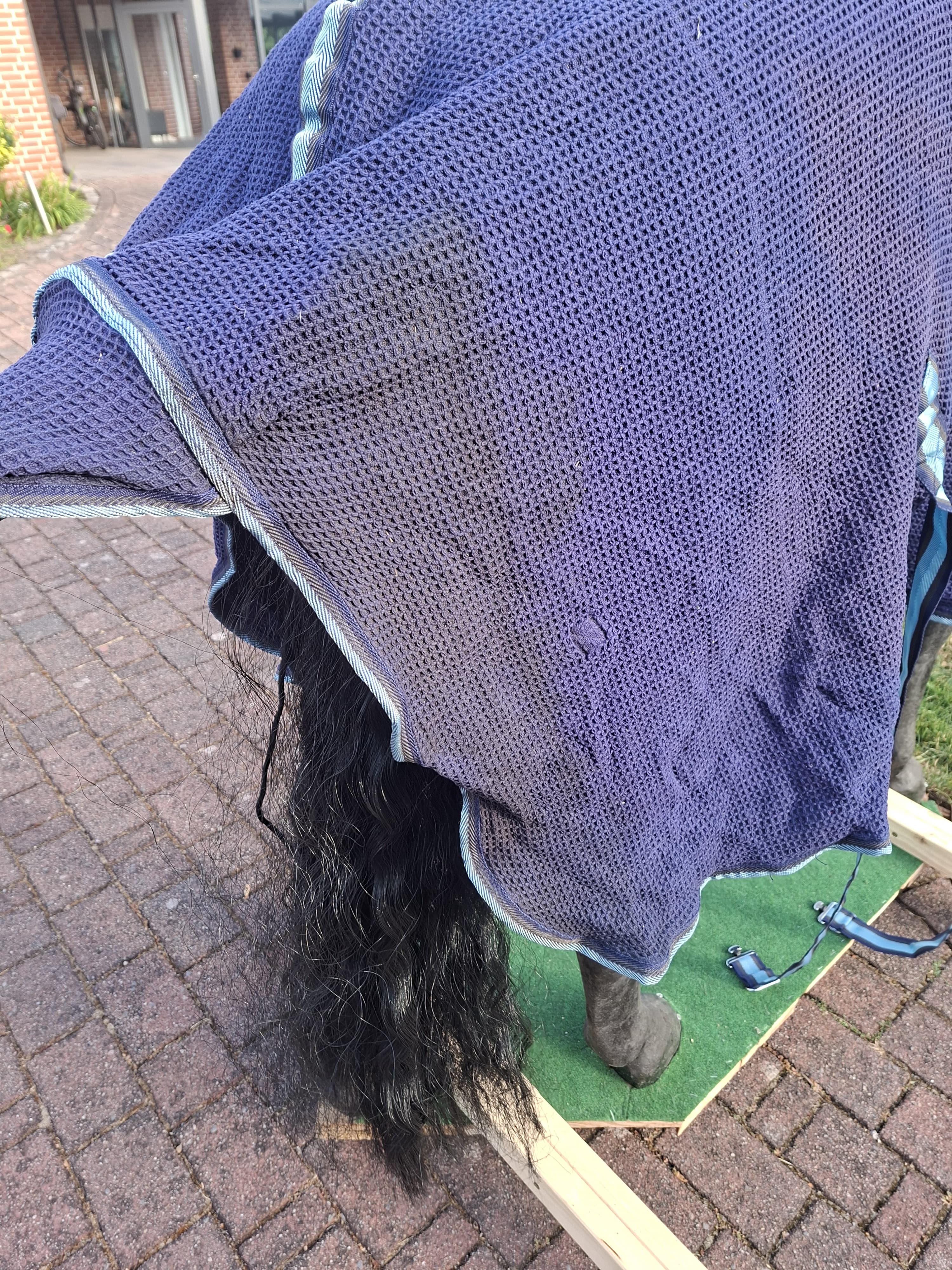 Horse friends dicke Fliegendecke