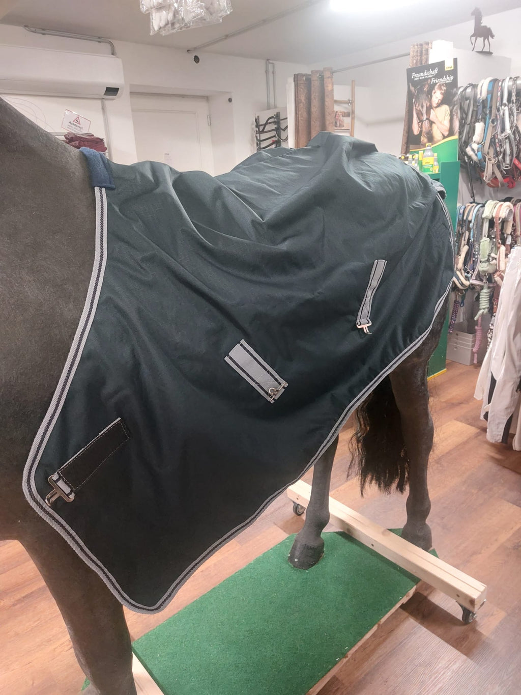 Goldhorse Regendecke