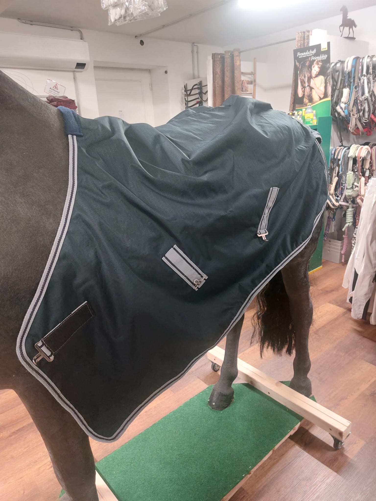 Goldhorse Regendecke