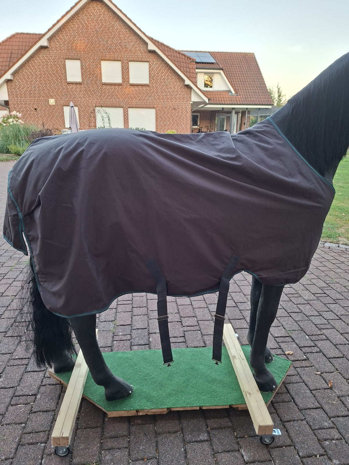 Horseware Amigo Outdoordecke