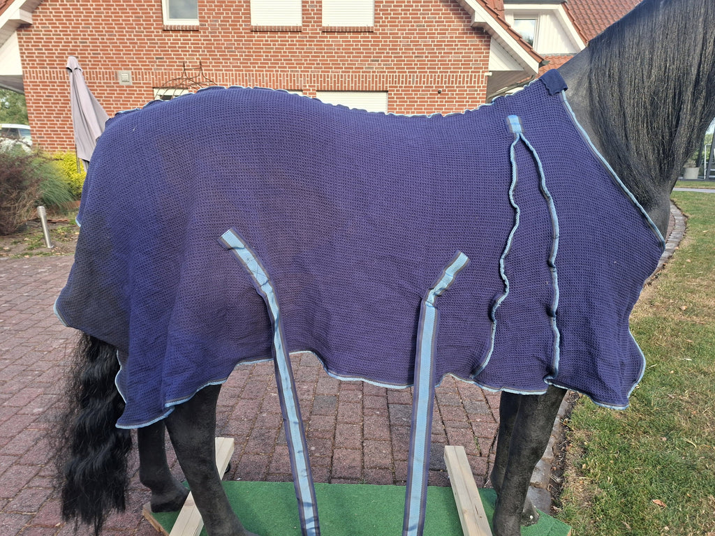 Horse friends dicke Fliegendecke