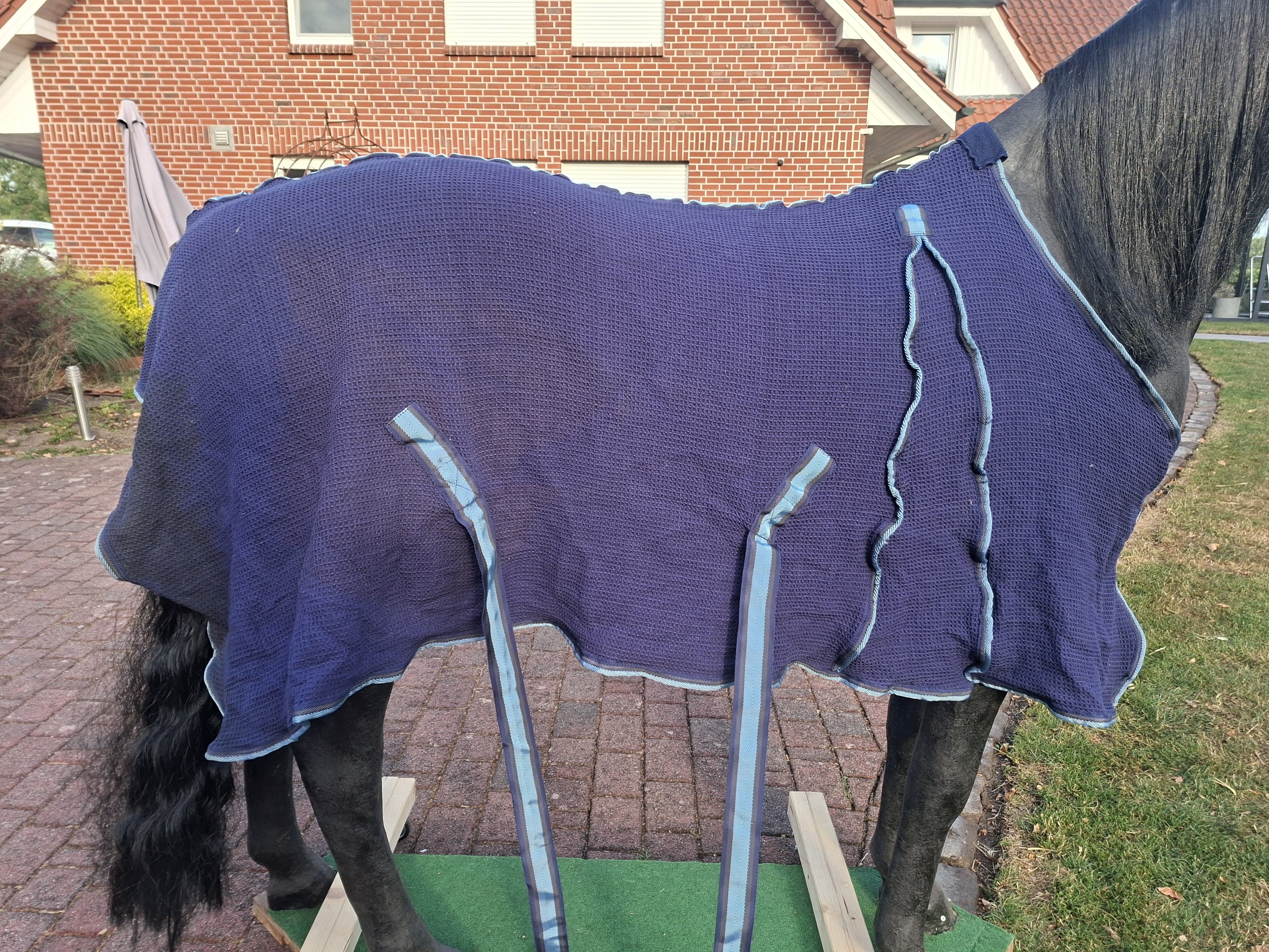 Horse friends dicke Fliegendecke