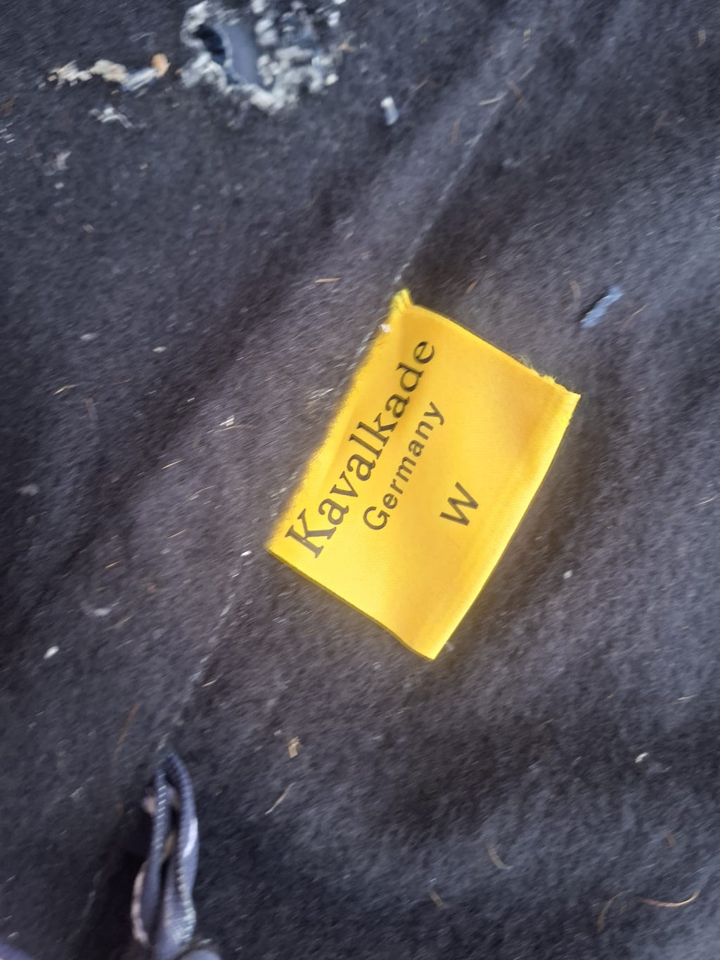 Kavalkade Fahrdecke-/Longierdecke