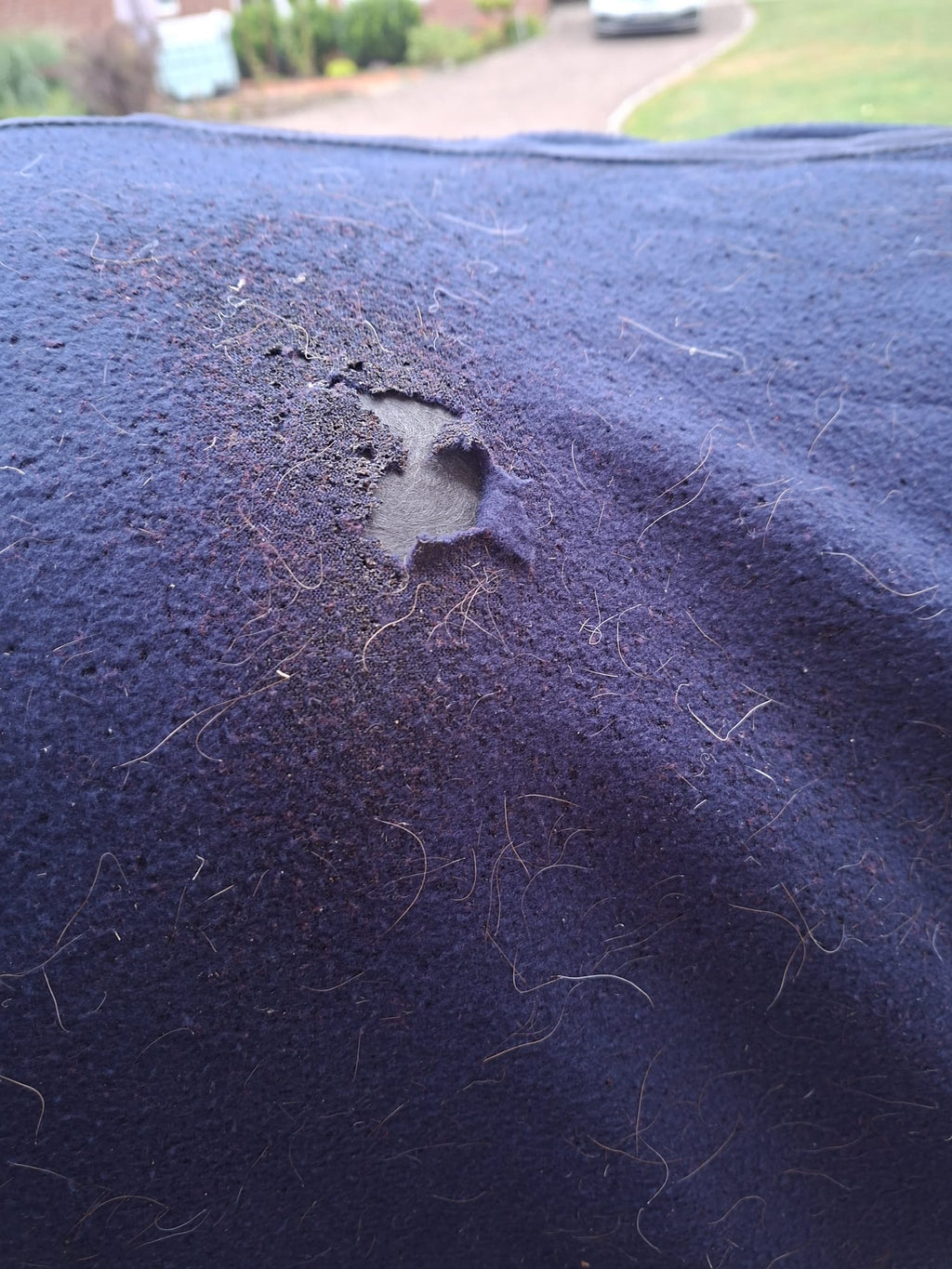 Unbekannt Abschwitzdecke