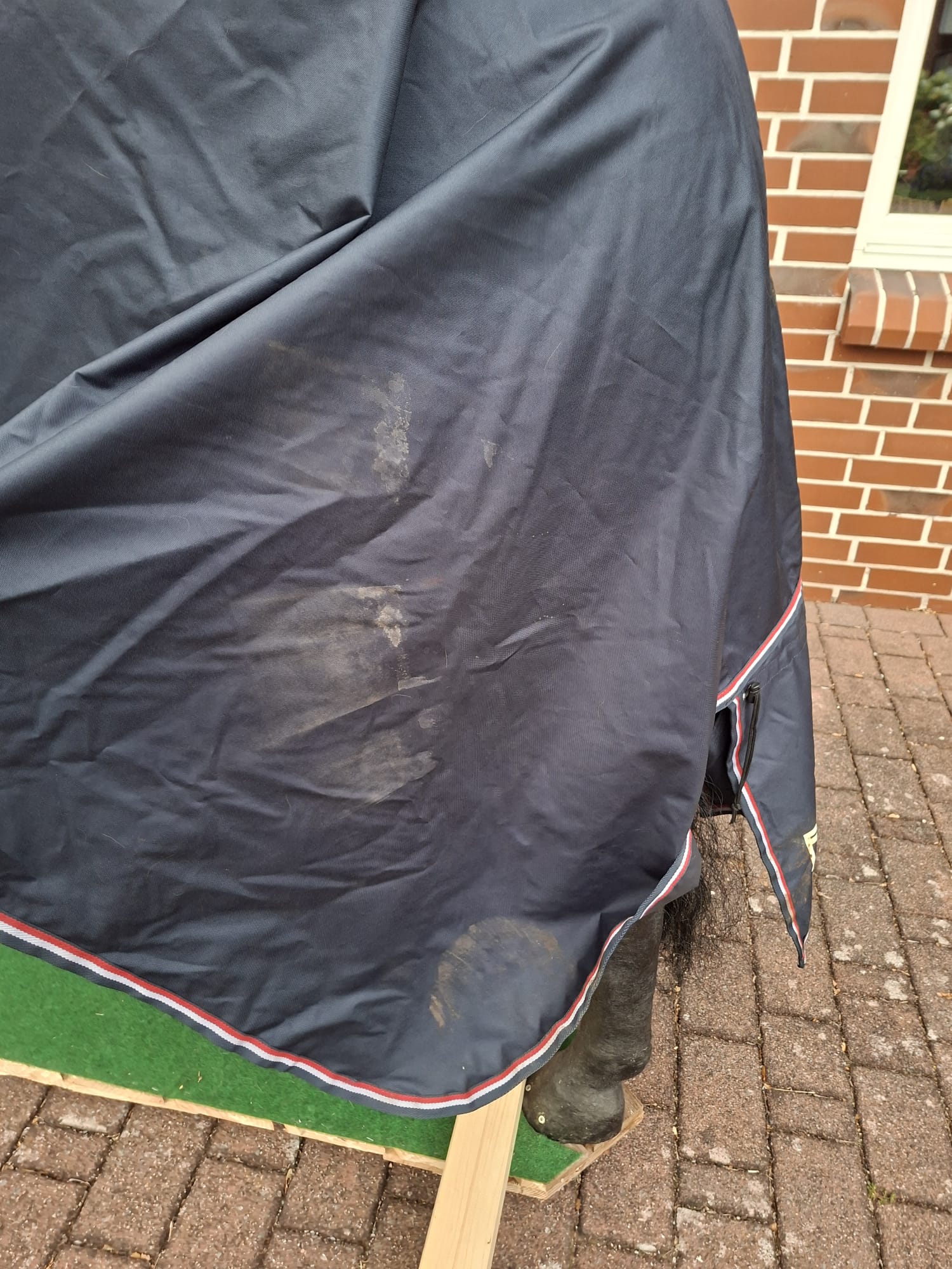 Eskadron Regendecke Zipneck plus Hals
