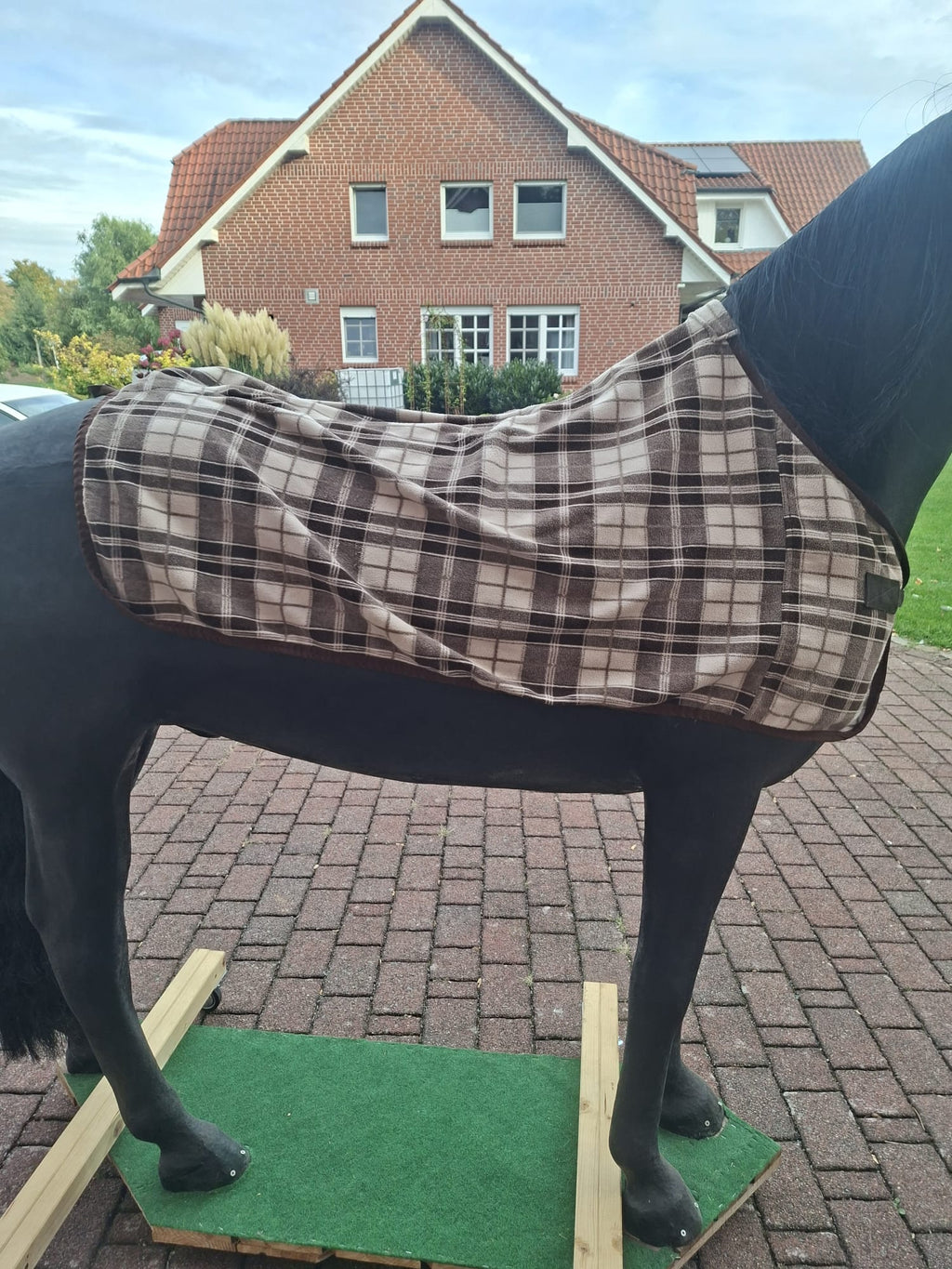 Premiere Abschwitzdecke