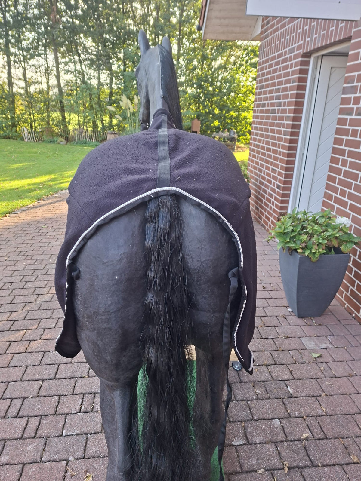 Equiva Abschwitzdecke