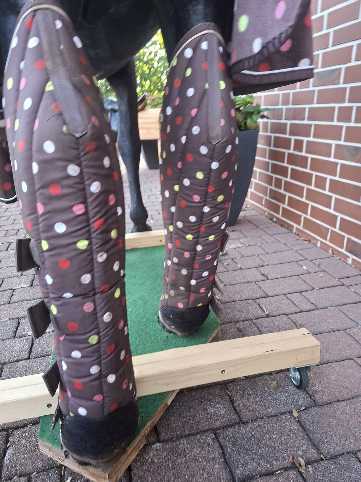 Eskadron "Nici" Transportgamaschen