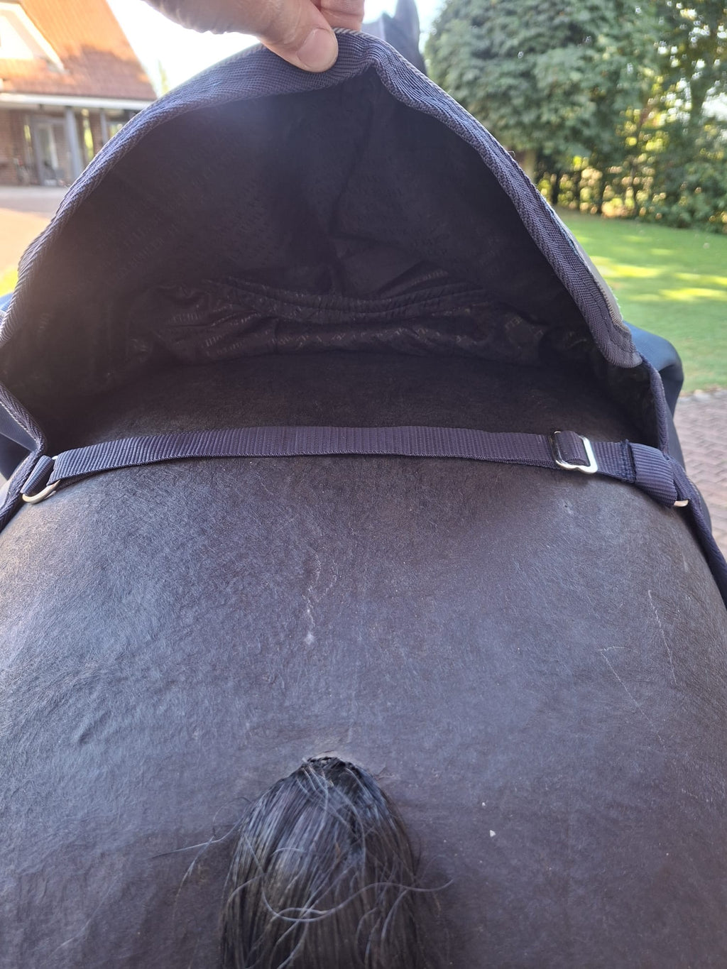 Felix Bühler Highneckdecke