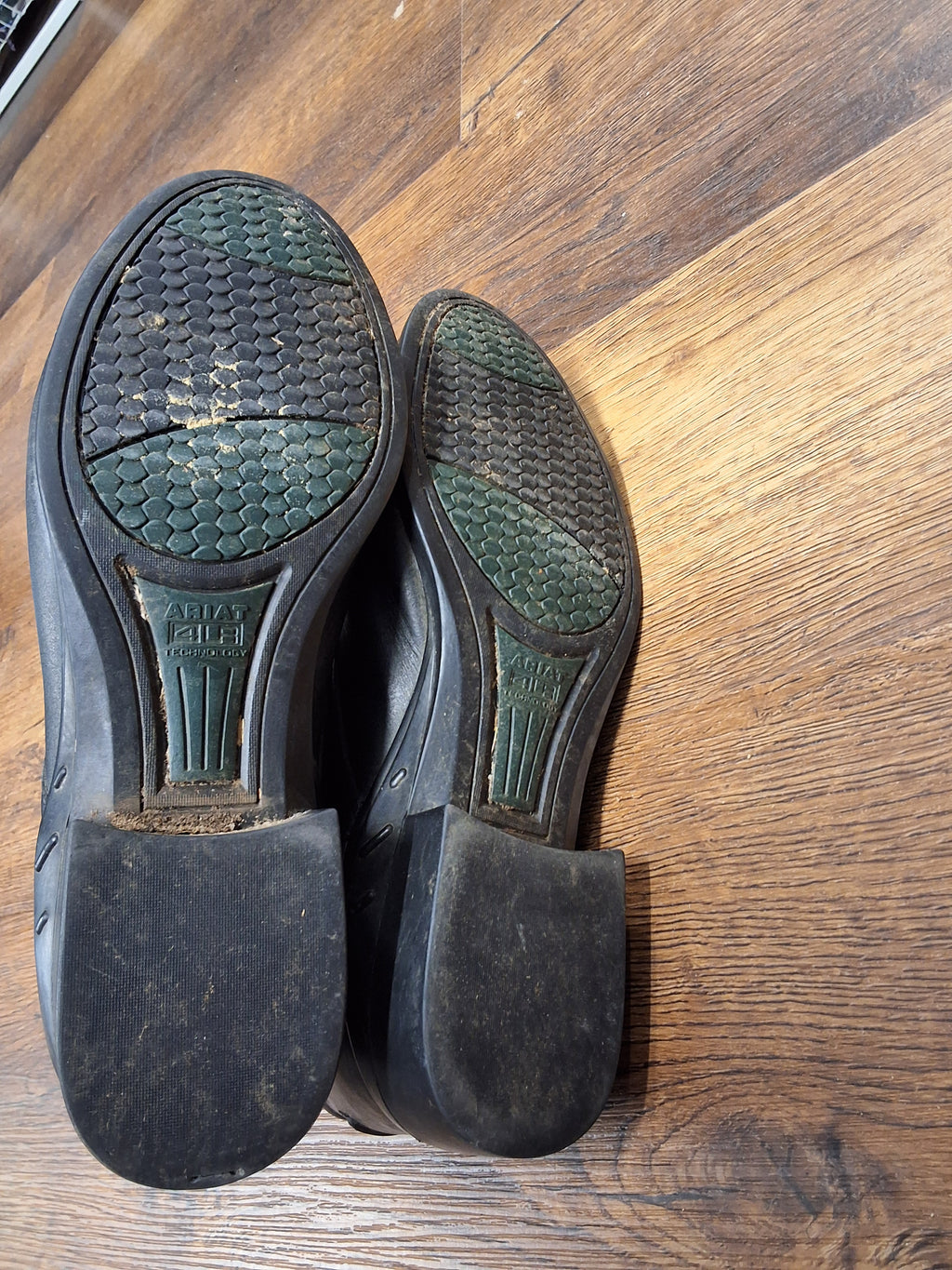 Ariat Stiefeletten