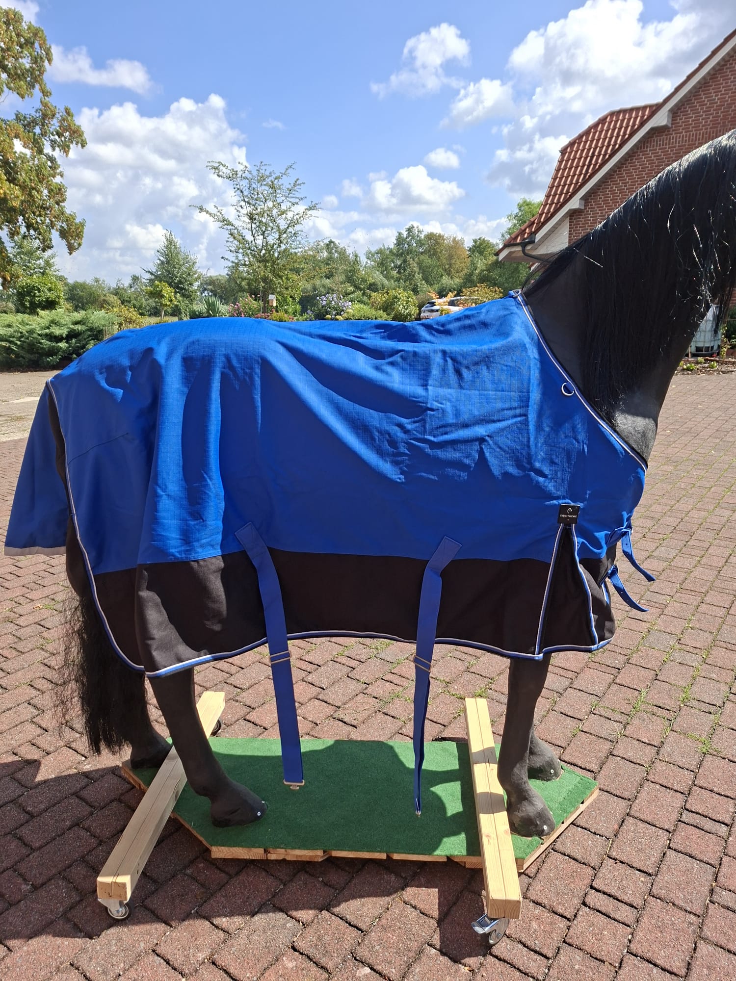 Equitheme Regendecke