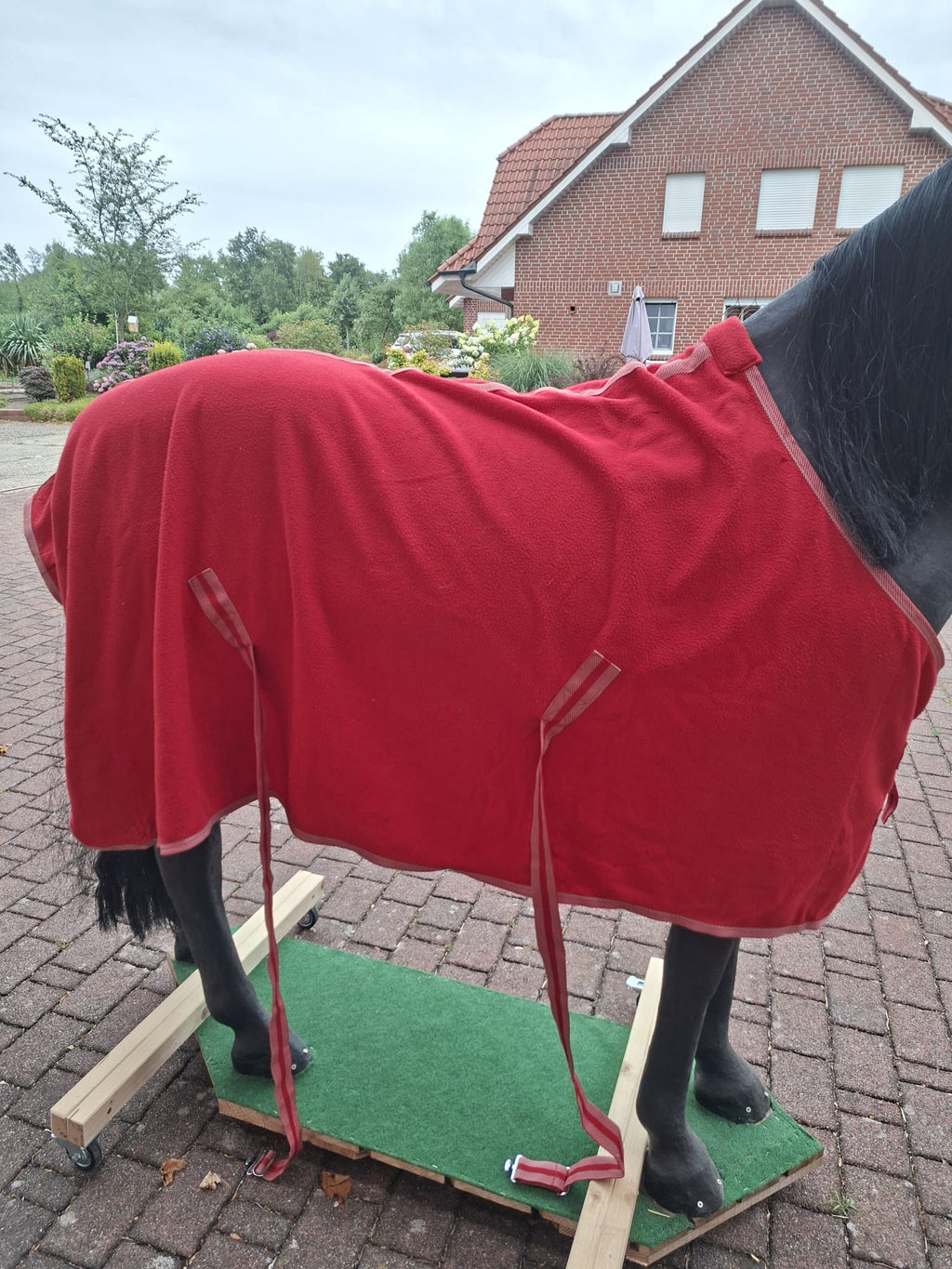 QHP Abschwitzdecke
