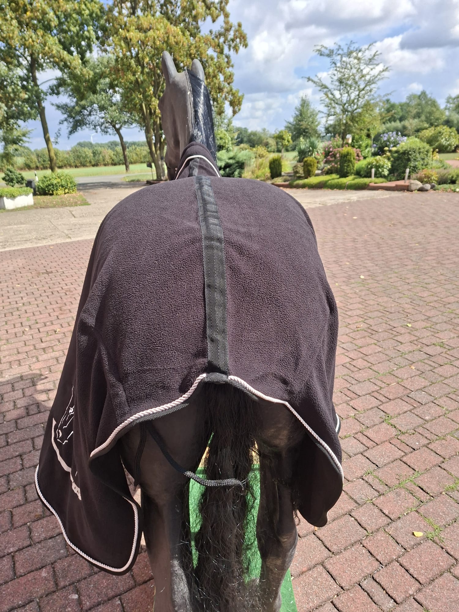 Ridersdeal Abschwitzdecke