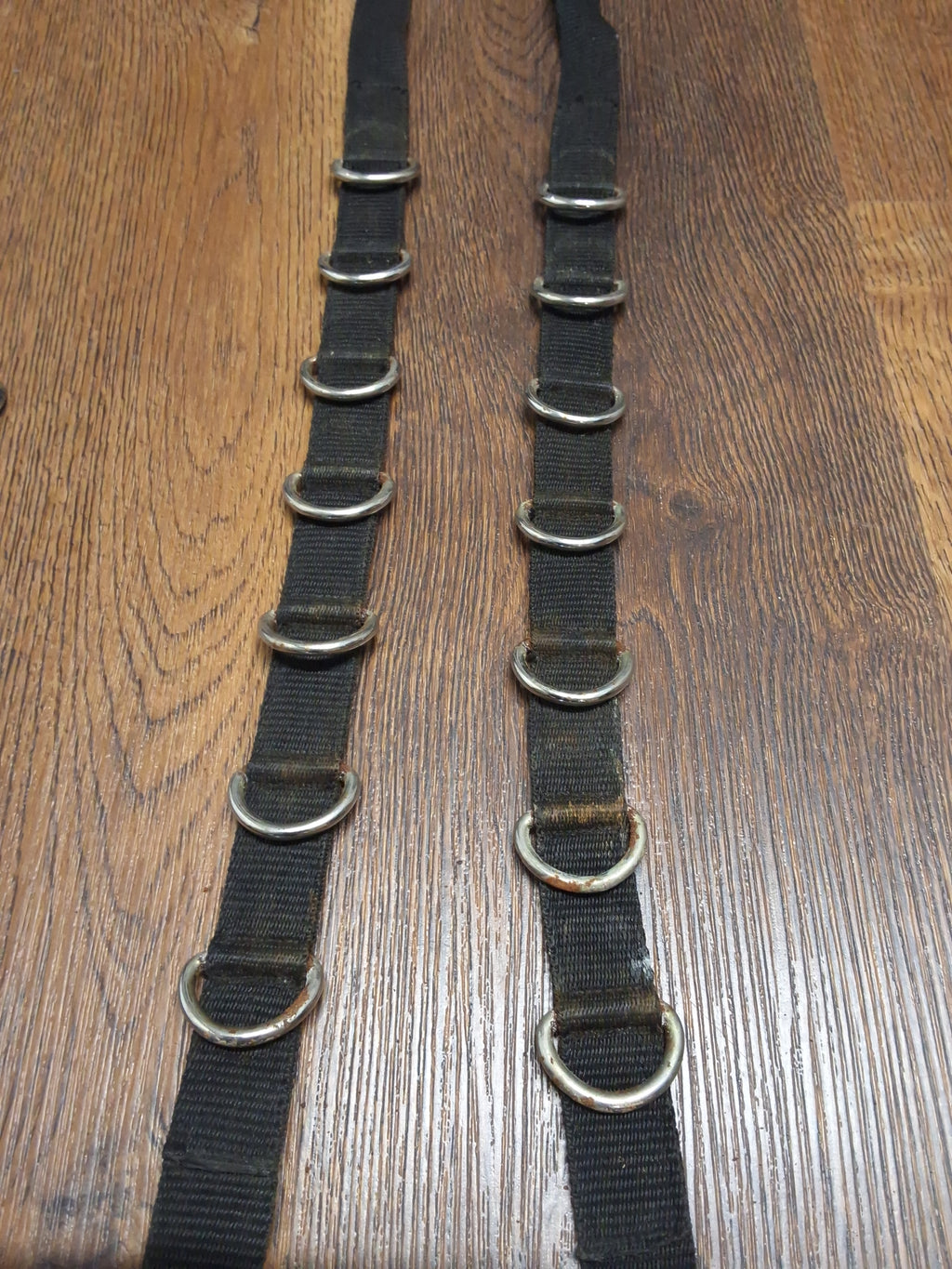 Busse Ausbindezügel