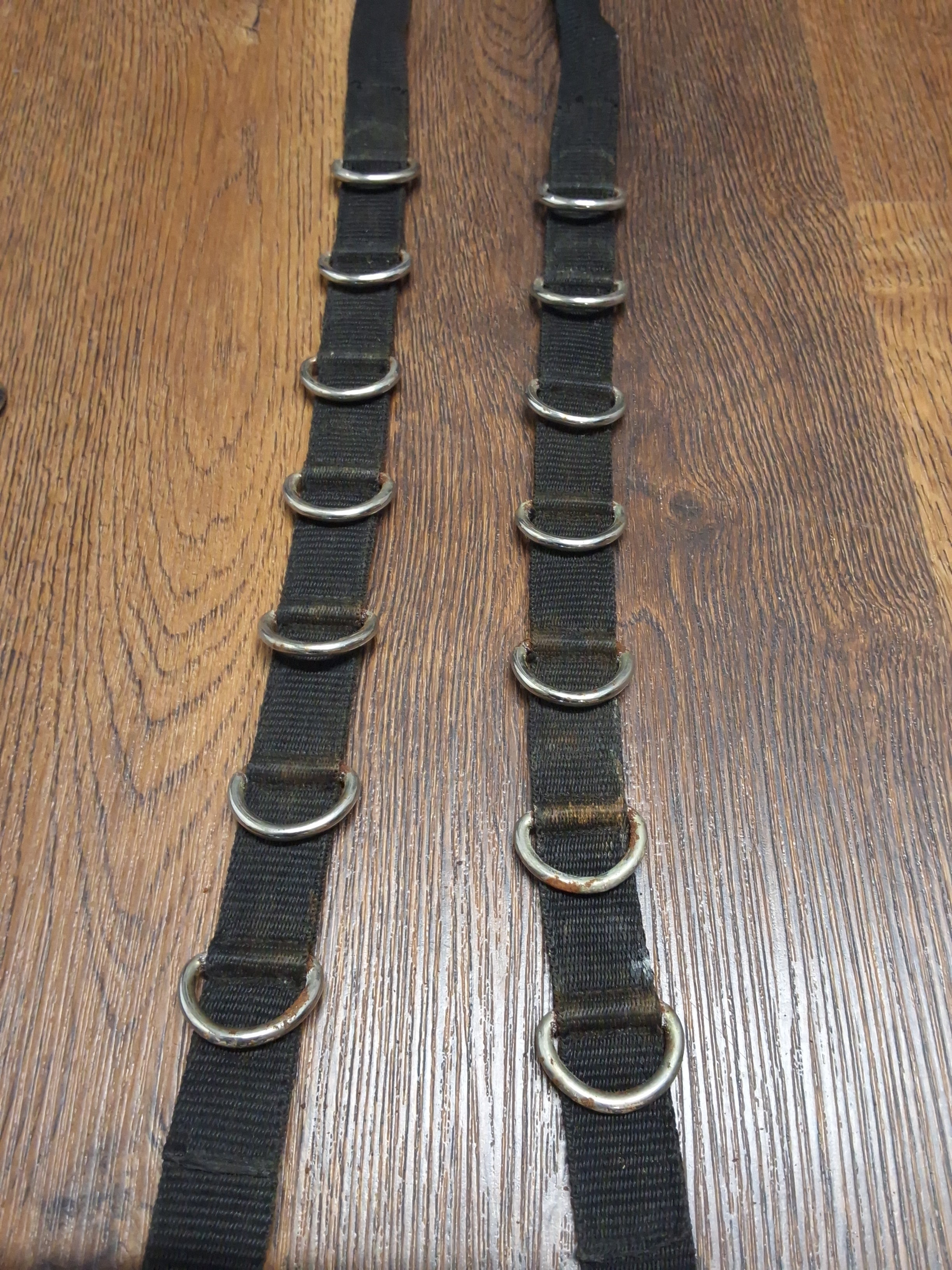 Busse Ausbindezügel