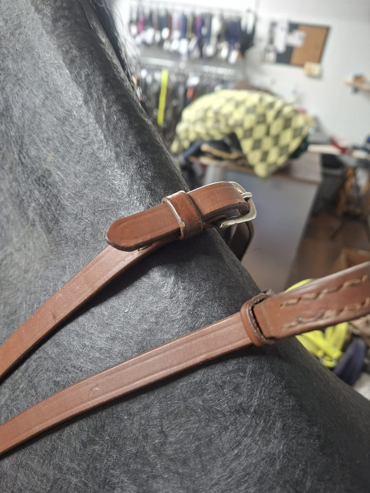 Unbekannt Kandarenzaum
