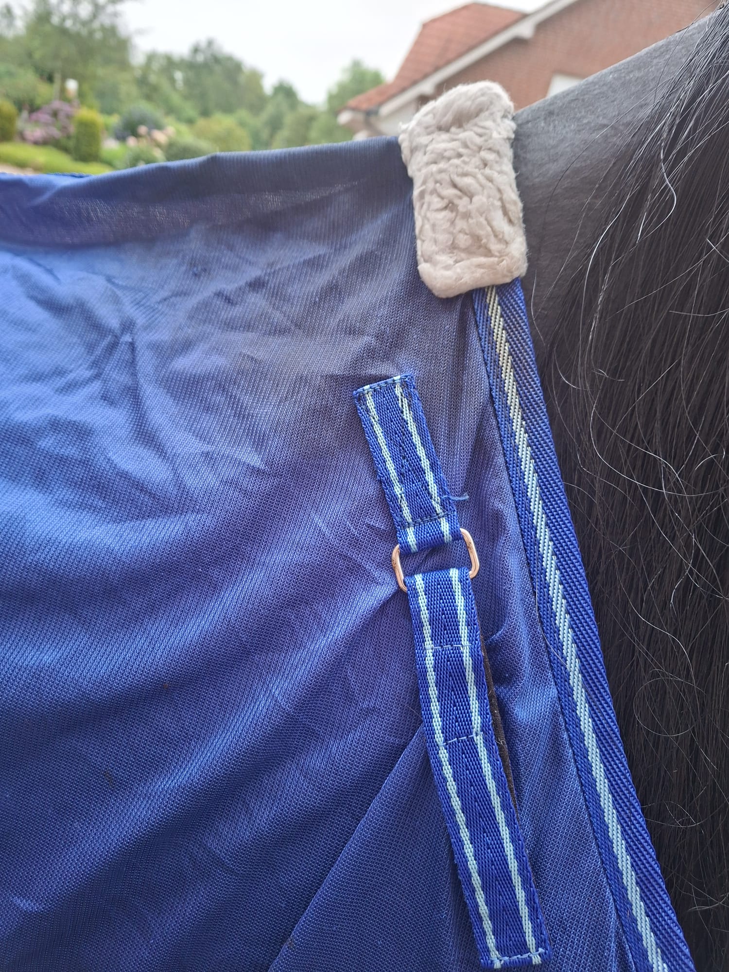 Horse friends Fliegendecke
