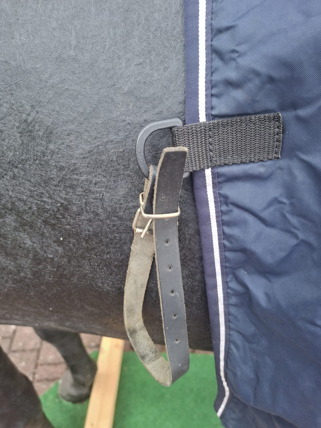 Kavalkade Fahrdecke-/Longierdecke